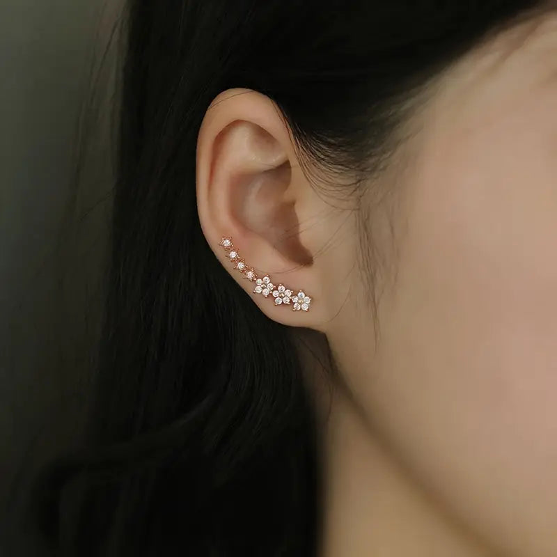 Stunning climbing earings